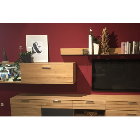 Anwendungsbild Allzweckdübel AZ/AZK: Hängende Regalsysteme im Wohnzimmer