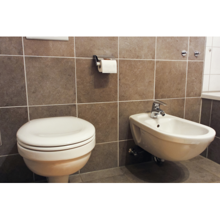 Anwendungsbild Mehrzweckdübel MZ: Sanitärbefestigungen im Badezimmer wie Toilettenpapierhalter, Toilette oder Bidet